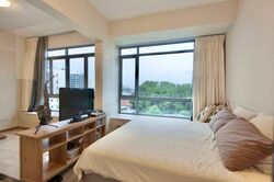 Viz At Holland (D10), Condominium #431308011